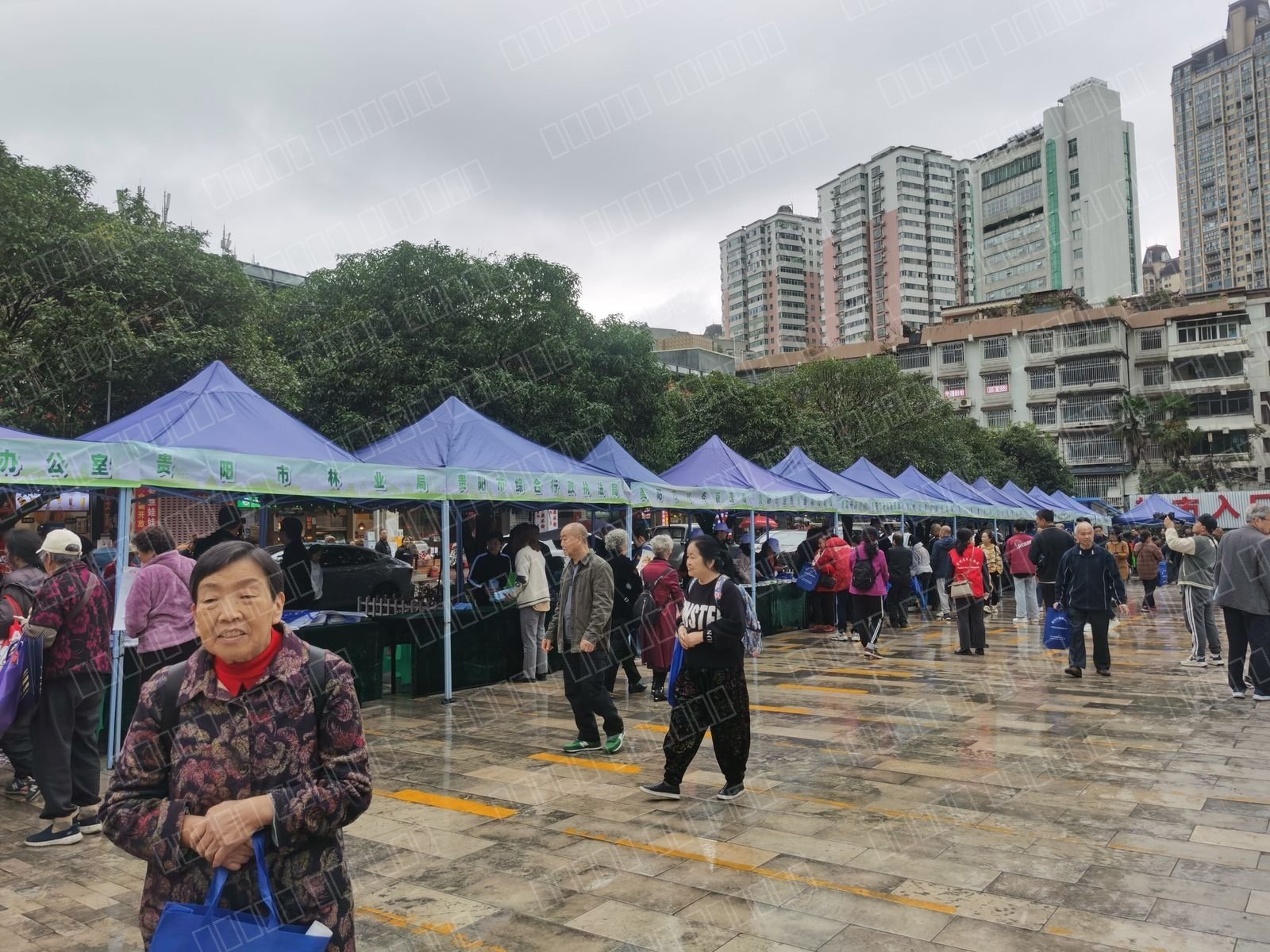 贵州省2023年10·13国际减灾日活动 照片 5